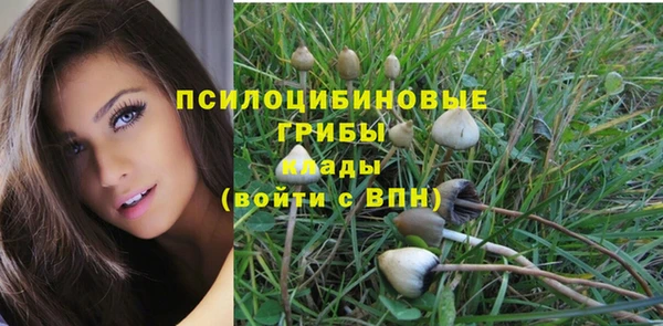 дурь Беломорск