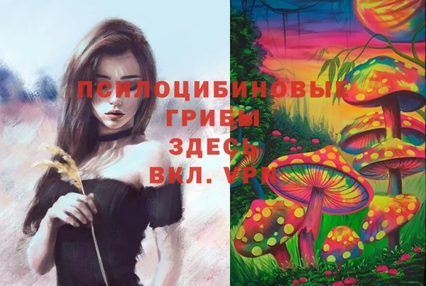 марки lsd Белокуриха