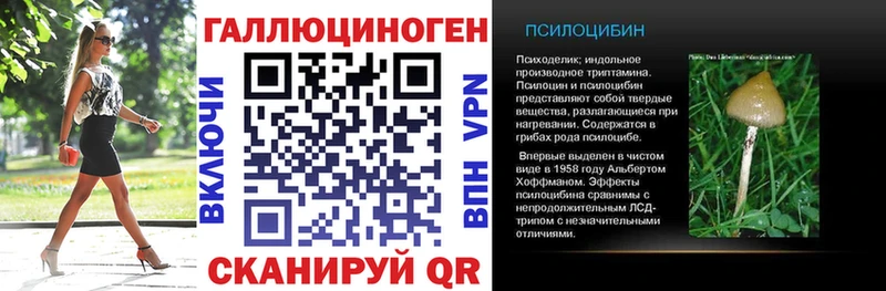 Купить  Бутурлиновка  Галлюциногенные грибы Psilocybe 